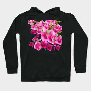 pink flowers aplenty Hoodie